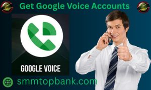 Get Google Voice Accounts